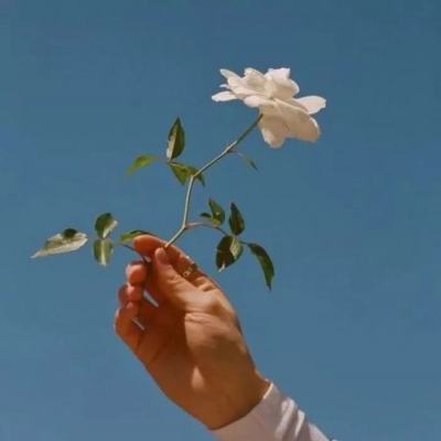 原罪之战手游下载